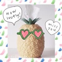 ราคา pineapple tissue box กล่องทิชชู่สับปะรด (11742209)