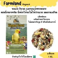 ราคา (แพ็กเกจ 1 KG.) FARMLAND Ringneck Parrot อาหารนกริงเนค (27989251767)