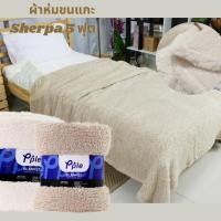 ราคา SHERPA THROW ผ้าห่มขนแกะ ขนนุ่ม ขนาด 5 ฟุต ใช้เป็นพร็อพถ่ายรูปสินค้าได้ มินิมอล ผ้าห่ม ผ้าขนแกะ ส่งไวมาก (18439027100)