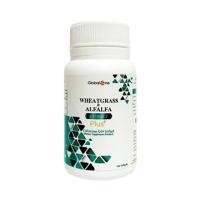 ราคา ผักเม็ดของแท้ Wheatgrass & Alfalfa Extract Plus Q10 (3877281593)