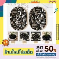 ราคา กรวดดำเงา เบอร์ 1 2 กระสอบละ 5 กิโล หินนำเข้า หินประดับตกแต่ง หินจัดสวน หินกรวด (19732610748)