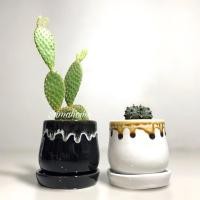 ราคา กระถางเซรามิค น้ำหวาน 3 นิ้ว พร้อมจานรอง l Flower Pots With Saucer l กระถางแคคตัส l กระถางเซรามิค l กระถางต้นไม้ (7957435394)