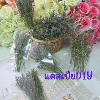 ราคา ซองละ20บาทดอกไม้แห้ง ดอกแคสเปียแห้ง ดอกสุ่ยแห้ง ดอกไม้แห้งหลายชนิดนำไปตกแต่งDIY (25586904508)