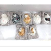 ราคา ตุ๊กตาดับกลิ่น ตุ๊กตาดูดกลิ่น ตุ๊กตาหน้ารถ แมวดูดกลิ่นรถ แมวดับกลิ่นรถ ตุ๊กตาแมวดับกลิ่น ตุ๊กตาดับกลิ่นในรถยนต์ (25320596886)