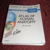 ราคา ATLAS OF HUMAN ANATOMY (22759848037)