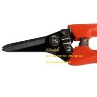 ราคา (1อัน) กรรไกรตัดกิ่งไม้ SOLO 213 ปากตรง ยาว 7นิ้ว papamami Pruning Shears กรรไกรตัดแต่งกิ่ง คีมตัดกิ่ง ที่ตัดกิ่งไม้ (6868838965)