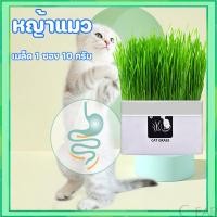 ราคา [มือใหม่ก็ปลูกได้ ] แบบถุงปลูกง่ายแค่เติมน้ำ ต้นอ่อนข้าวสาลี ออแกนิกส์ ต้นอ่อนข้าวสาลี หญ้าเเมว หญ้าเเมว สำหรับสัตว์เลี้ (26553397286)