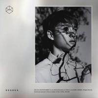ราคา ฝาครอบอัลบั้ม Exo Exodus DO (จอง) (8544701894)