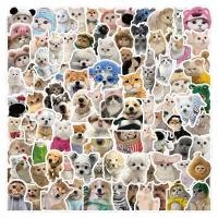 ราคา 200/100PCS ตลกน่ารักสัตว์เลี้ยง Puppy ลูกแมวสติกเกอร์สําหรับกระเป๋าเดินทางเคสโทรศัพท์แล็ปท็อปโน้ตบุ๊ค Decals เด็กของขวัญ RecordingYourLife (40867131964)