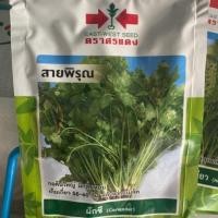 ราคา ผักชี สายพิรุณ ศรแดง (6326859749)