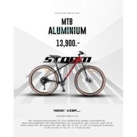 ราคา เสือภูเขา รุ่น STORM ล้อ 29" เฟรมอลู (23000791851)