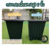 ราคา กระถางไม้กราฟทรงเหลี่ยม 6 นิ้ว กระถางทรงสูง กระถางเลี้ยงไม้ตอ (8475454850)