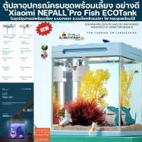 ราคา ตู้ปลา สำเหร็จรูปพร้อมเลี้ยง รุ่นขายดี MI Nepall โหลปลา ตู้กุ้ง ขนาด21.5cm อุปกรณ์ครบชุด ปลาสวยงาม ปลาทะเล ปลาน้ำจืด ปลา (25702270424)