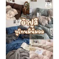 ราคา ชุดผ้าปูที่นอนสีพื้นทูโทน (46602469314)