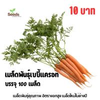 ราคา เมล็ดพันธุ์เบบี้แครอท บรรจุ 100 เมล็ด (46808189640)