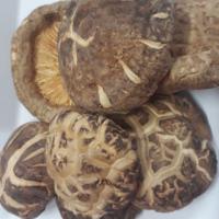 ราคา เห็ดหอมญี่ปุ่นดอกใหญ่เกรดA ขนาด 500 กรัม (7513969994)