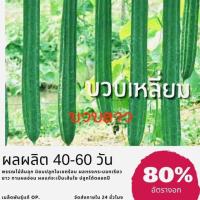 ราคา เมล็ดพันธุ์ บวบเหลี่ยมยาว 100 เมล็ด บวบเหลี่ยม บวบ ✅ราคาถูกปลูกง่าย ซื้อ10แถม1 คละได้ (8034066130)