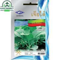 ราคา คะน้ายอด เจียไต๋ 10 กรัม เมล็ดพันธุ์ผัก ผักสวนครัว (3736893271)