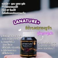 ราคา Grape seed+ Lutein (สารสกัดจากเมล็ดองุ่น) (5033991327)