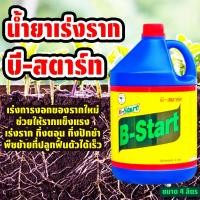 ราคา น้ำยาเร่งราก ทีเร็กซ์ ขนาด 4 ลิตร บีวัน-สตาร์ท เร่งราก เพิ่มราก ช่วยให้รากแข็งแแรง (49402536059)
