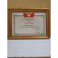 ราคา กรอบรูปราคาถูก-กรอบเกียรติบัตรขนาด(30*40) (27744277364)