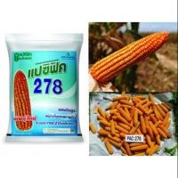 ราคา แปซิฟิค 278 - พันธุ์ข้าวโพดเลี้ยงสัตว์ (5332326737)