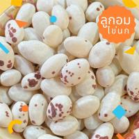 ราคา ลูกอมไข่ไดโนเสาร์ ลูกอมไข่นก ขนมยุค90 ขนมโบราณ เปรี้ยว หวาน อร่อย (44458128580)