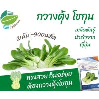 ราคา ผักกาดกวางตุ้งโชกุน (Pak Choy)​ #กวางตุ้ง #ฮ่องเต้ (7039003689)