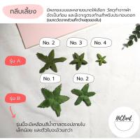 ราคา กลีบเลี้ยง กลีบเลี้ยงผ้า อุปกรณ์งานประดิษฐ์ DIY งานฝีมือทั่วไป Sepals Fabric Sepals for Craft (15550215647)