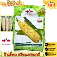 ราคา ข้าวโพดข้าวเหนียว สวีทแฟนตาซี เมล็ดพันธุ์ ตราศรแดง ขนาด 1 กิโลกรัม (27425121766)