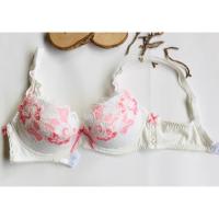 ราคา Sabina C34 มีโครง ฟองไม่หนา มีช่องใส่เพิ่มฟองได้ (5743798453)