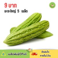 ราคา 9บาท มะระใหญ่จีน 5 เมล็ด (25428068202)