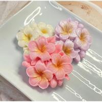 ราคา ขนมอาลัวดอกลีลาวดี โฮมเมด หวานน้อย กรอบนอกนุ่มใน หอมกลิ่นอบควันเทียน (27589664601)