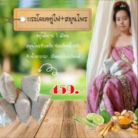 ราคา กระโจมอยู่ไฟ (2051599084)