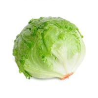 ราคา เมล็ดพันธุ์ ผักกาดแก้ว 100 เมล็ดไอซเบิร์ก (Iceberg )เมล็ดพันธุ์ผักสลัดแก้ว หวานกรอบ (25384745738)