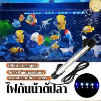 ราคา ไฟตู้ปลา Aquarium ไฟ LED ไฟกันน้ำตู้ปลา หลอดไฟใต้น้ำ โคมไฟตู้ปลา สามารถแช่น้ำได้ ทำให้ความมันวาวงดงามมากขึ้น พร้อมสต็อก (55506716194)
