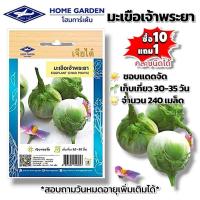 ราคา มะเขือเจ้าพระยา #เมล็ดพันธุ์มะเขือเจ้าพระยา #เจียไต๋ ผักซอง ผักสวนครัว ผักเจียไต๋ ประมาณ 240 เมล็ด (53952308217)