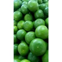 ราคา สดใหม่!!! ทุกวัน มะนาวแป้นบ้านแพ้วแท้เปลือกบางเปลือกเขียว น้ำเยอะมีกลิ่นหอม1kg เก็บจากสวน ราคาถูก ที่สุด ราคาส่ง (54853877295)