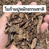 ราคา ใบก้ามปูหมักธรรมชาติ ดินปลูกบอนสี สำหรับบอนสี บอนด่าง ทุกสายพันธุ์ (18592450929)