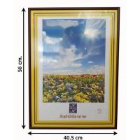 ราคา กรอบรูปสีน้ำตาล 56x40.5 cm.กรอบรูป 56x40.5 cm.สีน้ำตาล กรอบรูปไซส์ยอดนิยมสำหรับจิ๊กซอว์ประมาณ 500 ชิ้น (48405720459)