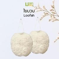 ราคา มาชา ใยบวบธรรมชาติ ขัดหน้า ขัดตัว (25978469010)