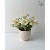 ราคา ต้นไม้ปลอม Cosmos กระถางดินเผากว้าง 11 cm สูงรวม 23 cm (24591460836)