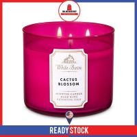 ราคา Bath and Body Works 3 Wicks Candle CACTUS BLOSSOM (54155403444)