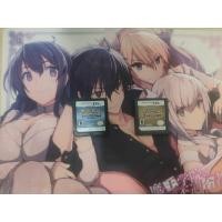 ราคา ตลับเกม NDS Pokemon Heart Gold /Pokemon Soul Sliver ภาษาอังกฤษ [แผ่นเทียบ] (57304682301)