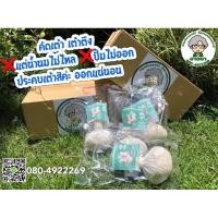 ราคา ลูกประคบสมุนไพรบด ไม่บาดผิว ไม่บาดเต้านม กระตุ้นเปิดท่อน้ำนม 150g. (5872877926)