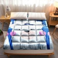 ราคา ท็อปเปอร์ขนห่านเทียมสีพื้น เปลี่ยนฟูกแข็งๆ ให้ฟูหนานุ่มในพริบตา mattress (5032227380)