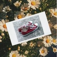 ราคา รองเท้า converse สีแดงเลือดหมู (1471042262)