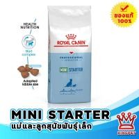 ราคา Royal canin Mini starter mother & babydog 16 Kg อาหารแม่และลูกสุนัขพันธุ์เล็ก (26773580270)