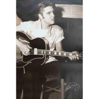 ราคา โปสเตอร์ วง ดนตรี Elvis Presley เอลวิส เพรสลีย์ ภาพ วงดนตรี โปสเตอร์ติดผนัง โปสเตอร์สวยๆ poster (11303720520)