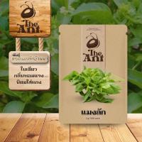 ราคา (ซื้อ1แถม1)เมล็ดพันธุ์แมงลัก หอมแมงลักบ้านนา เมล็ดพันธุ์ออร์แกนิค เมล็ดพันธุ์หายาก ปลูกผักเอง สวนผัก ชุดปลูกผัก (49506788142)
